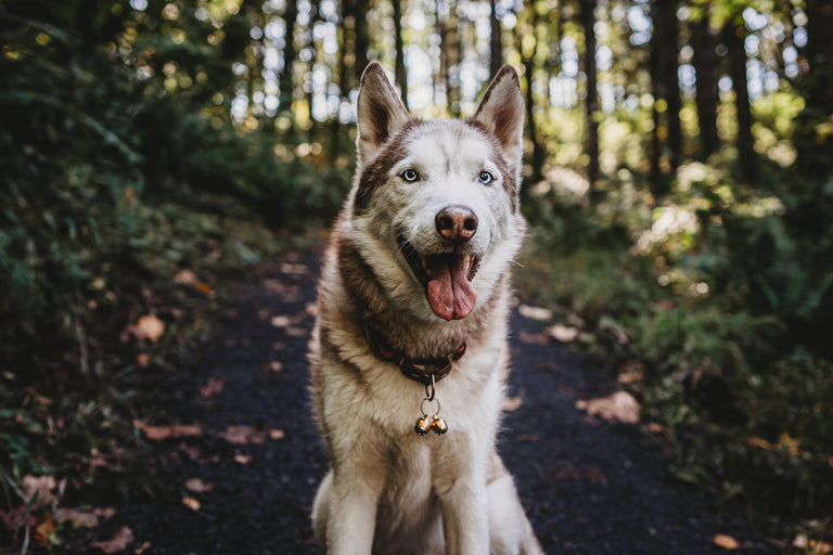 Beaus Bells Originals