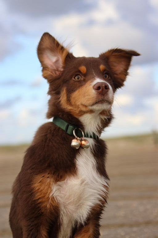 Beaus Bells Originals