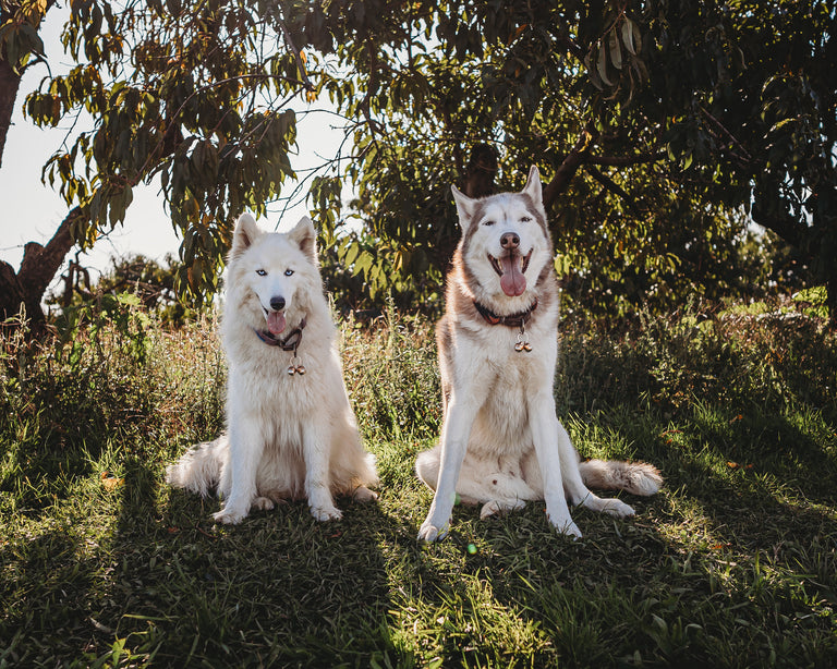 Beaus Bells Originals